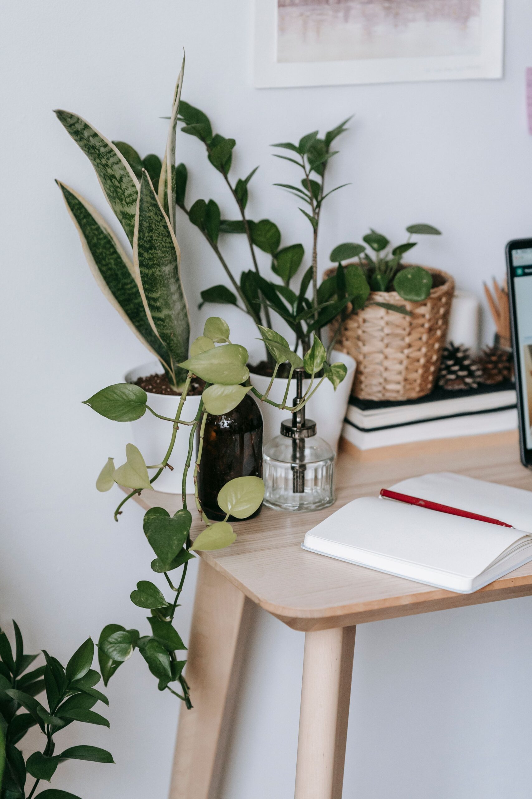 Clinical supervision for Michigan LLCs